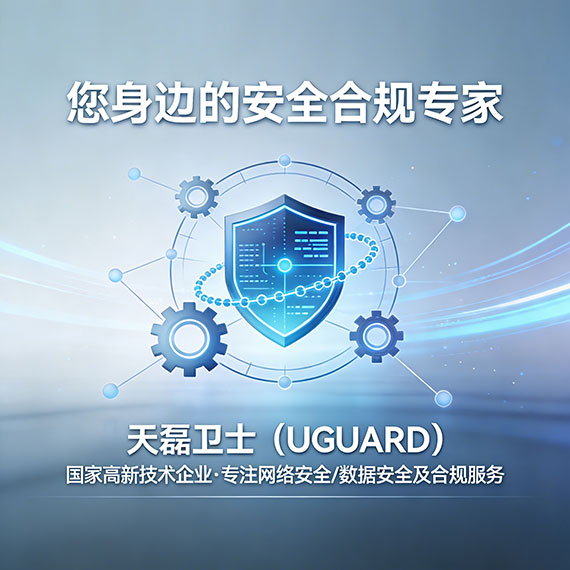 天磊卫士 - 网络安全服务专家